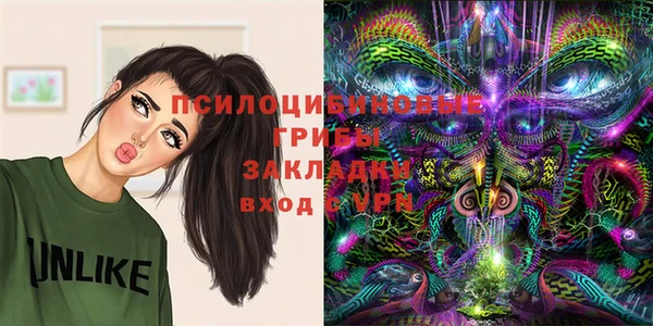 гашик Володарск