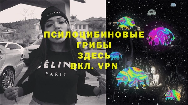 гашик Володарск