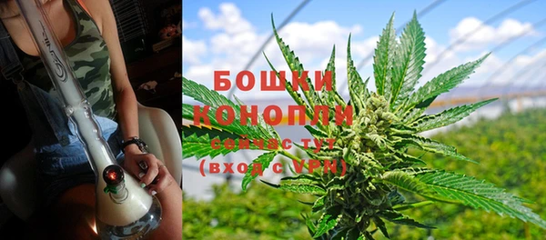 гашик Володарск