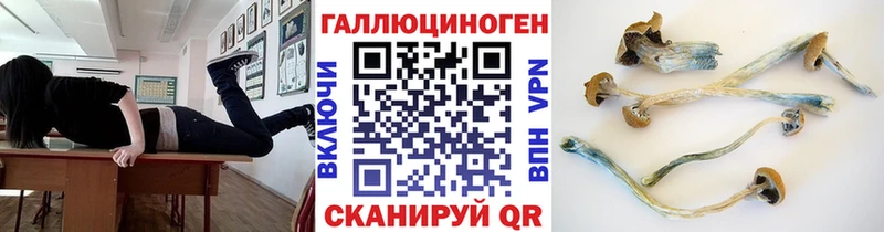 Галлюциногенные грибы Psilocybe Кандалакша